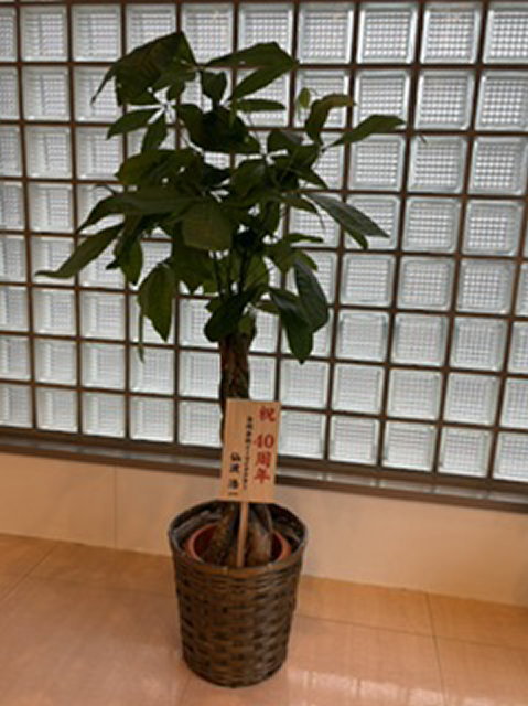 開業40周年記念